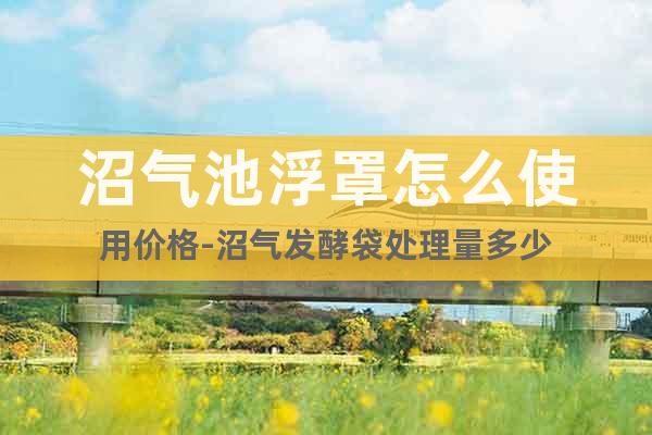 沼氣池浮罩怎么使用價格-沼氣發(fā)酵袋處理量多少