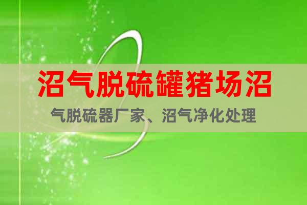 沼氣脫硫罐豬場(chǎng)沼氣脫硫器廠家、沼氣凈化處理
