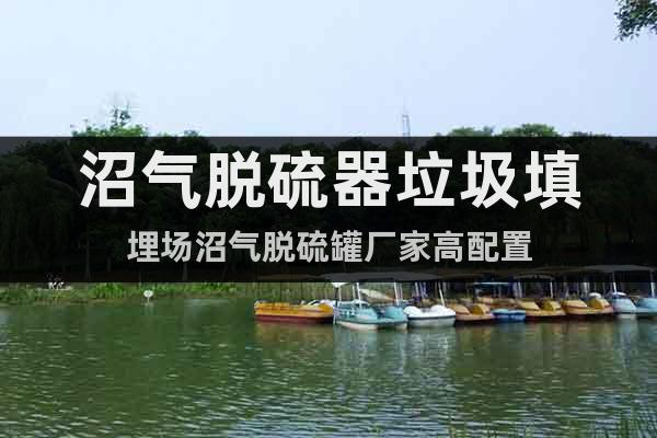 沼氣脫硫器垃圾填埋場(chǎng)沼氣脫硫罐廠家高配置