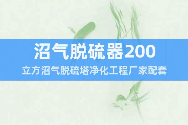 沼氣脫硫器200立方沼氣脫硫塔凈化工程廠家配套