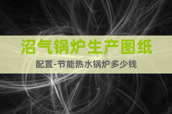 沼氣鍋爐生產(chǎn)圖紙配置-節(jié)能熱水鍋爐多少錢