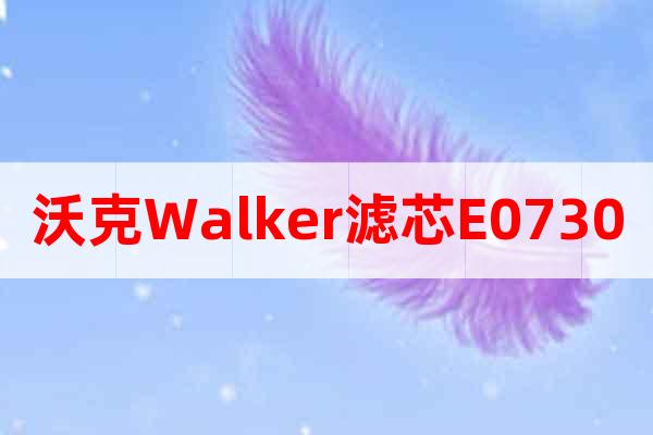沃克Walker滤芯E0730