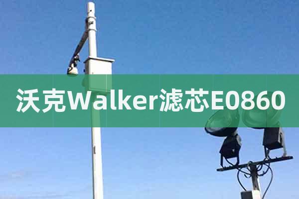 沃克Walker濾芯E0860