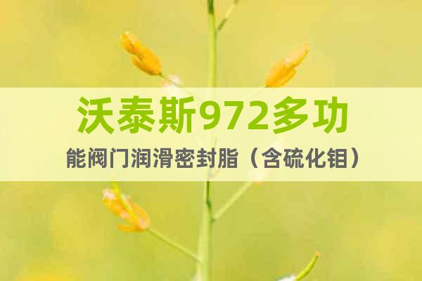 沃泰斯972多功能閥門潤滑密封脂（含硫化鉬）