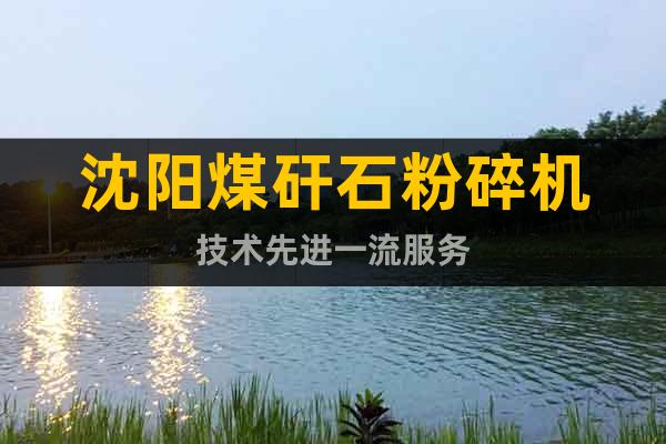 沈陽(yáng)煤矸石粉碎機(jī)技術(shù)先進(jìn)一流服務(wù)