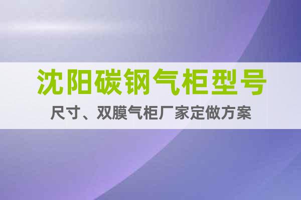 沈陽碳鋼氣柜型號尺寸、雙膜氣柜廠家定做方案