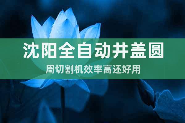 沈陽(yáng)全自動(dòng)井蓋圓周切割機(jī)效率高還好用
