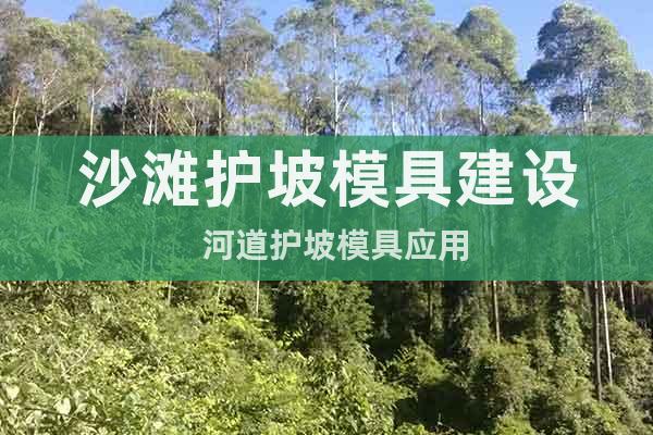沙灘護坡模具建設(shè)  河道護坡模具應(yīng)用