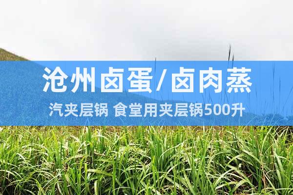 滄州鹵蛋/鹵肉蒸汽夾層鍋 食堂用夾層鍋500升
