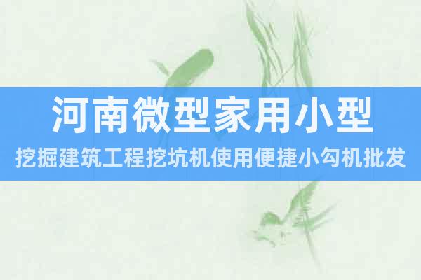 河南微型家用小型挖掘建筑工程挖坑機(jī)使用便捷小勾機(jī)批發(fā)