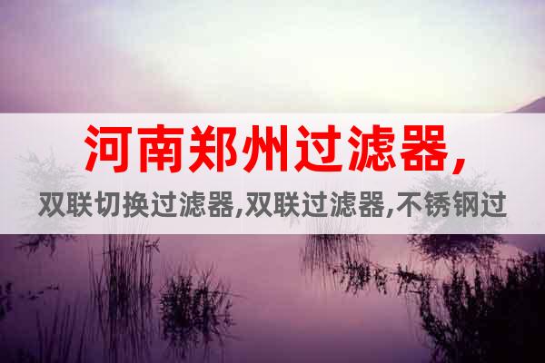 河南鄭州過(guò)濾器,雙聯(lián)切換過(guò)濾器,雙聯(lián)過(guò)濾器,不銹鋼過(guò)濾器