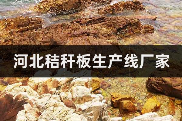 河北秸稈板生產(chǎn)線(xiàn)廠家