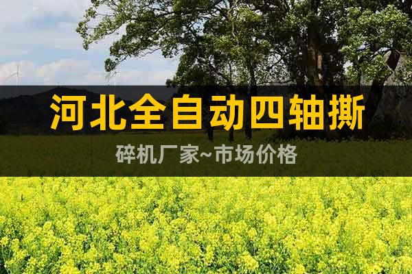 河北全自動四軸撕碎機廠家~市場價格