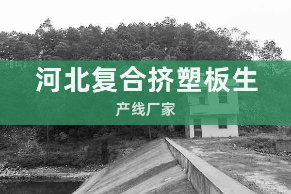 河北復(fù)合擠塑板生產(chǎn)線廠家