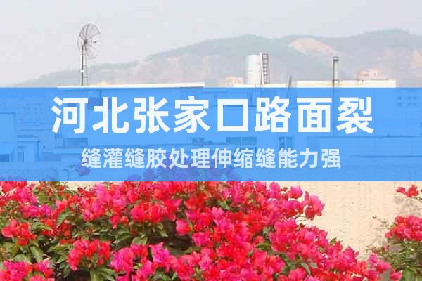 河北張家口路面裂縫灌縫膠處理伸縮縫能力強