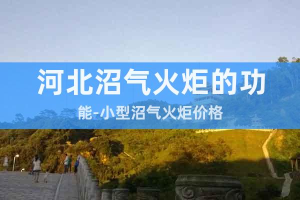河北沼氣火炬的功能-小型沼氣火炬價(jià)格