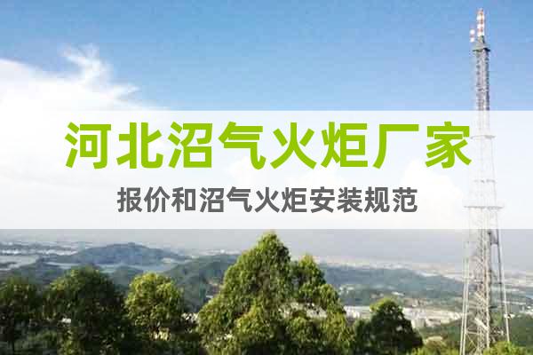 河北沼氣火炬廠家報(bào)價(jià)和沼氣火炬安裝規(guī)范