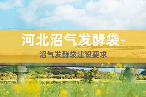 河北沼氣發(fā)酵袋-沼氣發(fā)酵袋建設要求