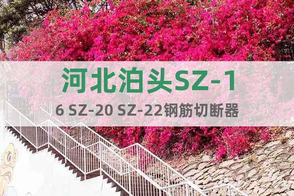河北泊頭SZ-16 SZ-20 SZ-22鋼筋切斷器圖片