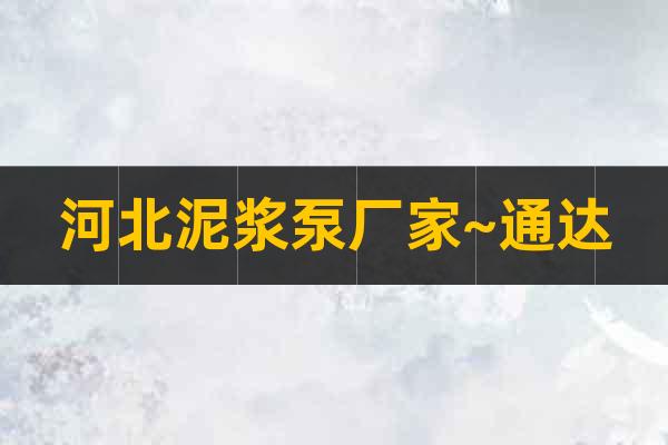 河北泥漿泵廠家~通達(dá)