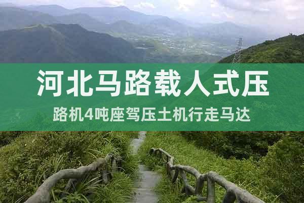 河北馬路載人式壓路機4噸座駕壓土機行走馬達