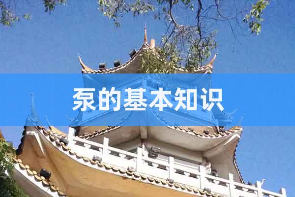 泵的基本知識(shí)