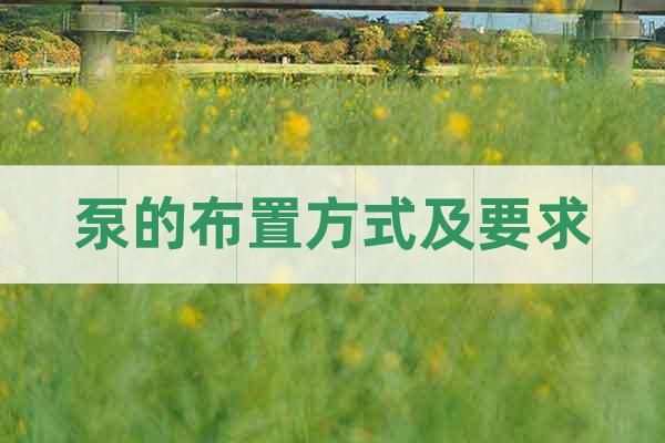泵的布置方式及要求