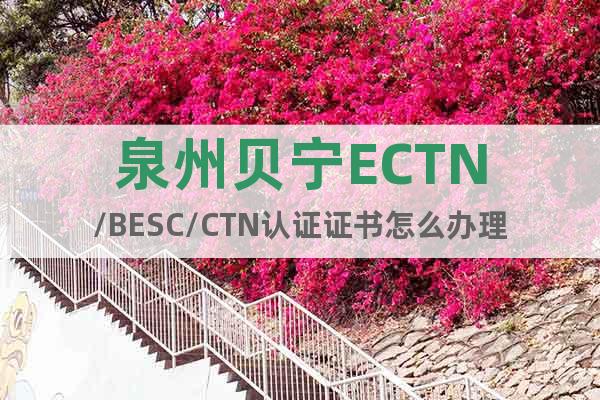 泉州贝宁ECTN/BESC/CTN认证证书怎么办理