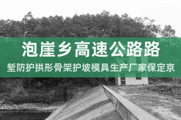 泡崖鄉(xiāng)高速公路路塹防護拱形骨架護坡模具生產(chǎn)廠家保定京偉模具
