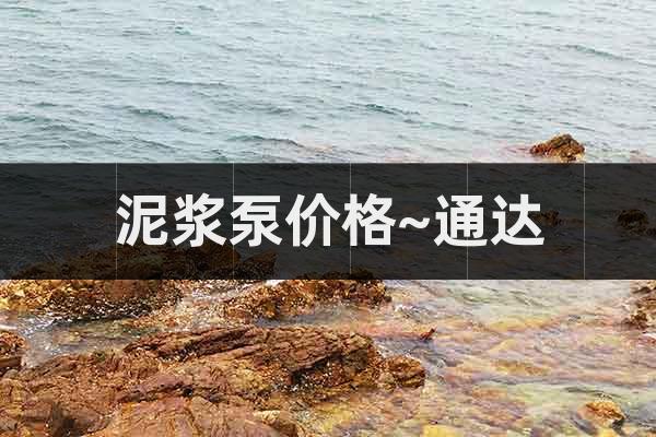 泥漿泵價格~通達(dá)