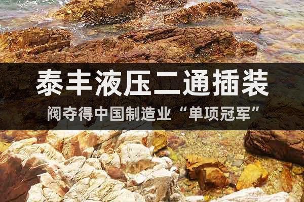 泰豐液壓二通插裝閥奪得中國制造業(yè)“單項冠軍”