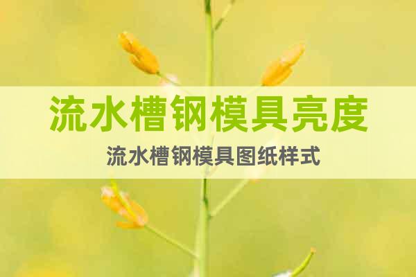 流水槽鋼模具亮度  流水槽鋼模具圖紙樣式