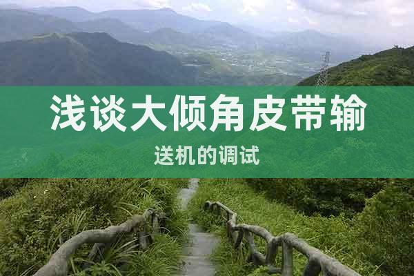 淺談大傾角皮帶輸送機(jī)的調(diào)試