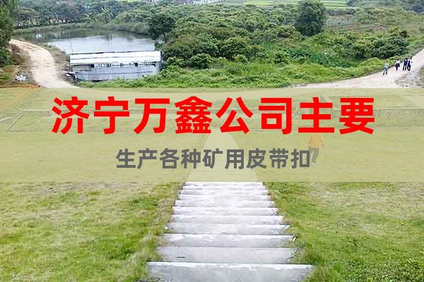 濟(jì)寧萬鑫公司主要生產(chǎn)各種礦用皮帶扣