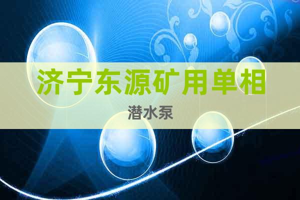 濟寧東源礦用單相潛水泵