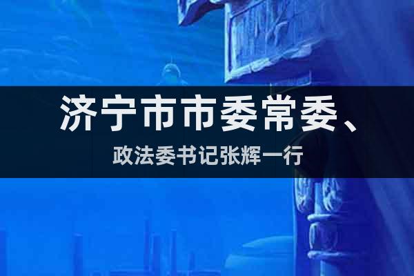 濟(jì)寧市市委常委、政法委書記張輝一行