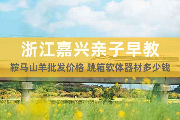 浙江嘉興親子早教鞍馬山羊批發(fā)價(jià)格 跳箱軟體器材多少錢(qián)