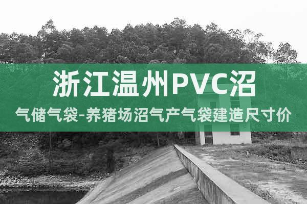 浙江温州PVC沼气储气袋-养猪场沼气产气袋建造尺寸价格