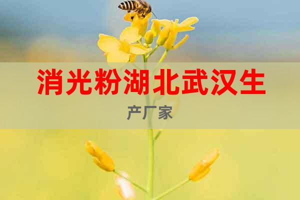 消光粉湖北武漢生產(chǎn)廠家