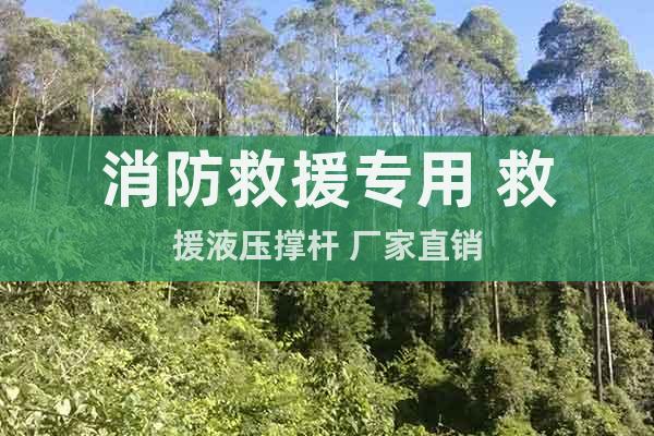 消防救援專用 救援液壓撐桿 廠家直銷