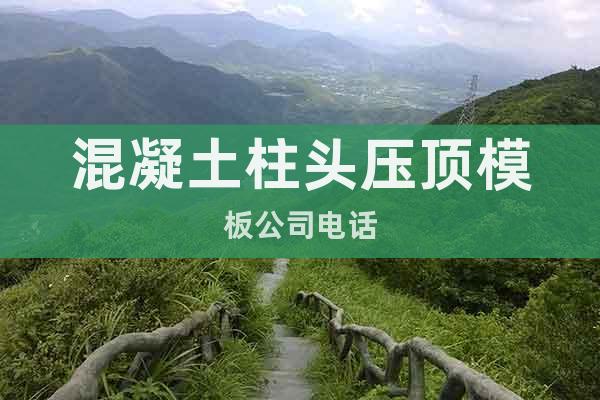 混凝土柱頭壓頂模板公司電話