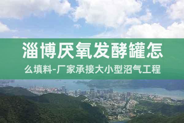 淄博厭氧發(fā)酵罐怎么填料-廠家承接大小型沼氣工程