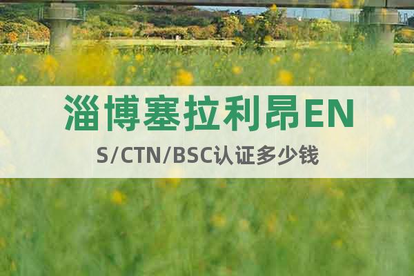 淄博塞拉利昂ENS/CTN/BSC認證多少錢