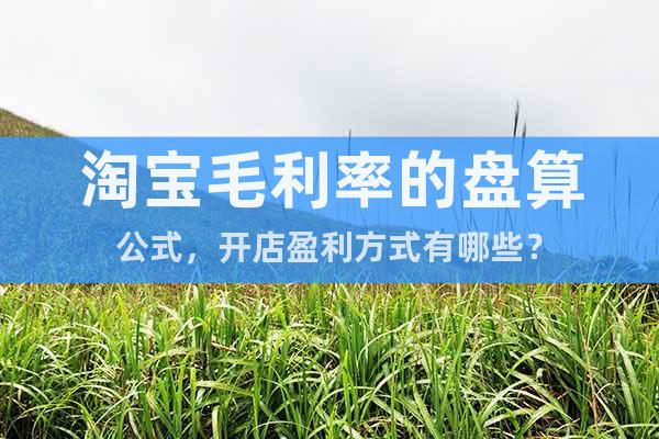 淘寶毛利率的盤算公式，開店盈利方式有哪些？