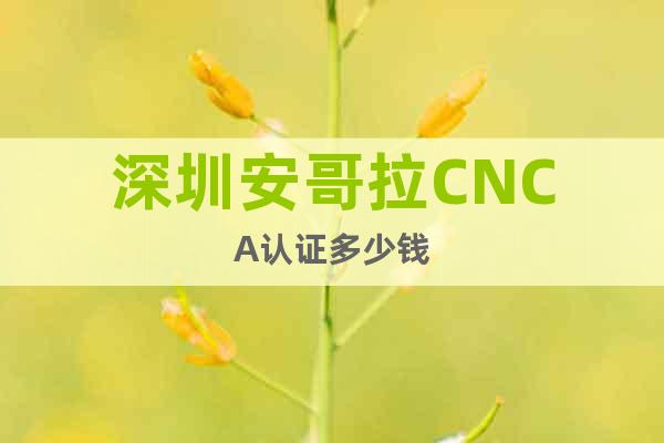 深圳安哥拉CNCA認(rèn)證多少錢
