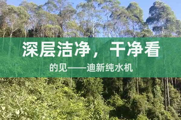 深層潔凈，干凈看的見——迪新純水機