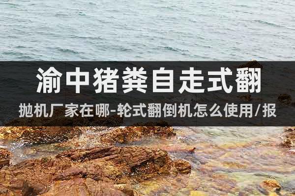 渝中豬糞自走式翻拋機(jī)廠家在哪-輪式翻倒機(jī)怎么使用/報價