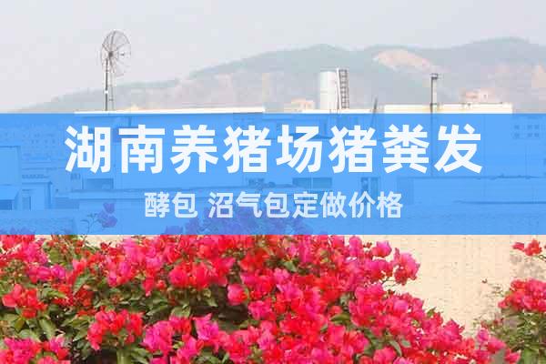 湖南養(yǎng)豬場豬糞發(fā)酵包 沼氣包定做價格