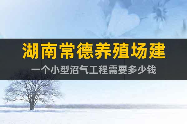 湖南常德養(yǎng)殖場建一個小型沼氣工程需要多少錢
