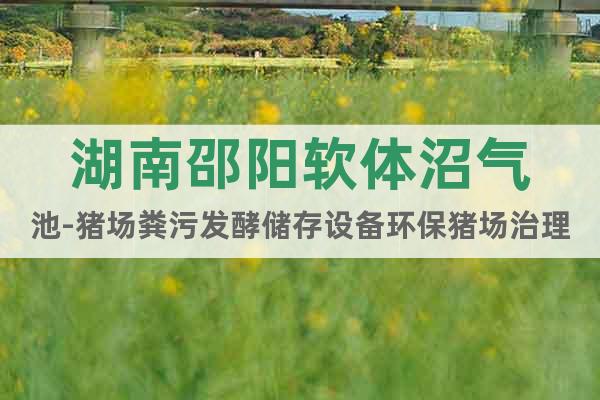湖南邵陽軟體沼氣池-豬場糞污發(fā)酵儲存設(shè)備環(huán)保豬場治理工程